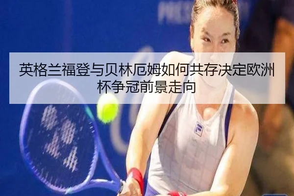 ying-ge-lan-fu-deng-yu-bei-lin-e-mu-ru-he-gong-cun-jue-ding-ou-zhou-bei-zheng-guan-qian-jing-zou-xiang-2-667.jpg